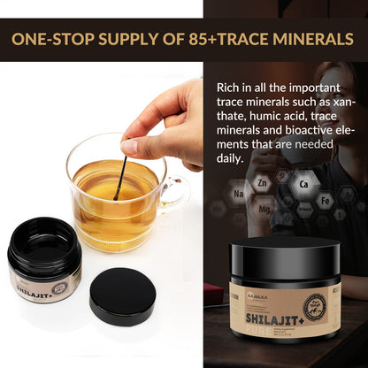 ROLI&ROLA Gold Grade 500mg Pure Himalayan Organic Shilajit Resin.50ml